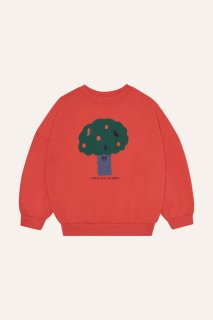 The Campamento ザ・カンパメント THE CAMPAMENTO GREEN SWEATSHIRT