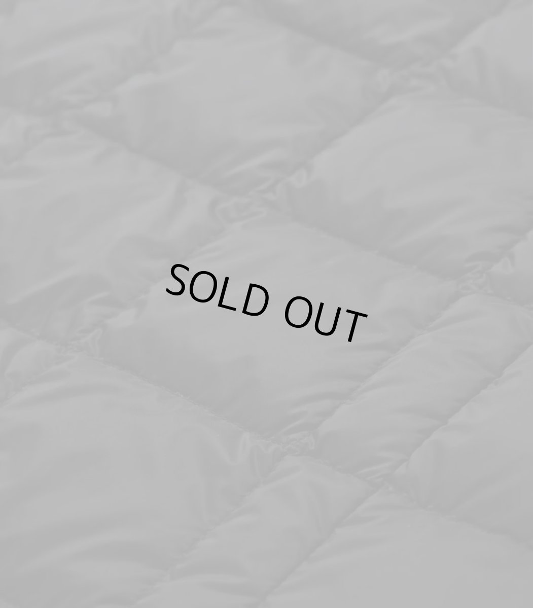 画像15: TAION タイオン KIDS キッズ ベーシック クルーネック インナーダウンベスト (15)