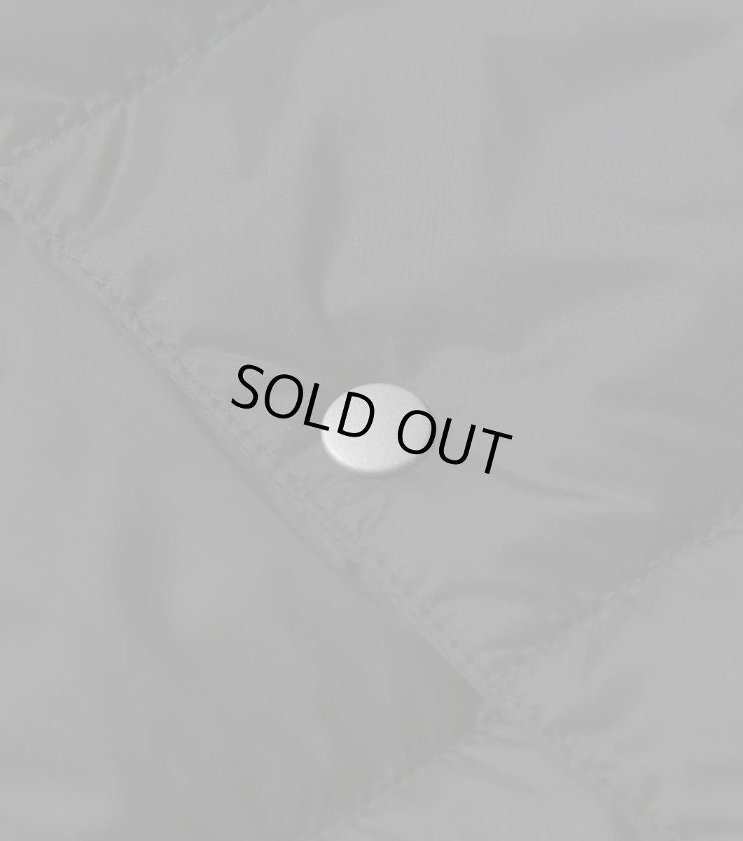 画像10: TAION タイオン KIDS キッズ ベーシック クルーネック インナーダウンベスト (10)